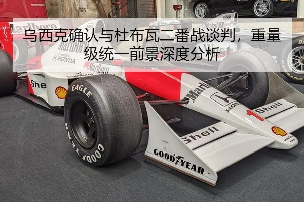 乌西克确认与杜布瓦二番战谈判，重量级统一前景深度分析 | ngsportsltd.com